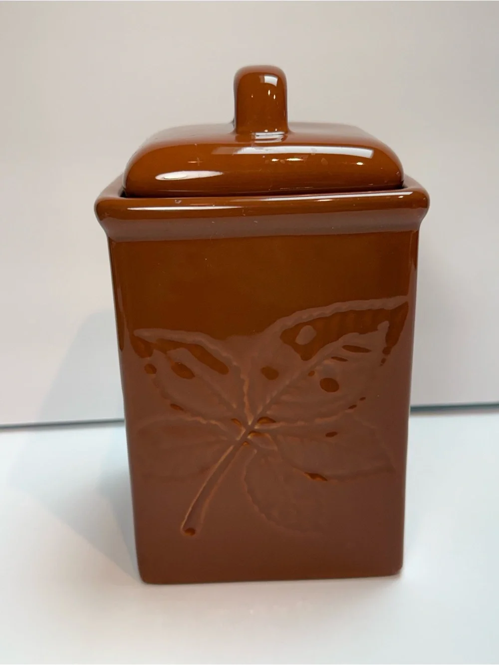 Vintage Lillian Vernon Canister in Brown Raised Botanical Leaf Design